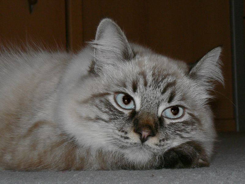 P1090120maly.jpg