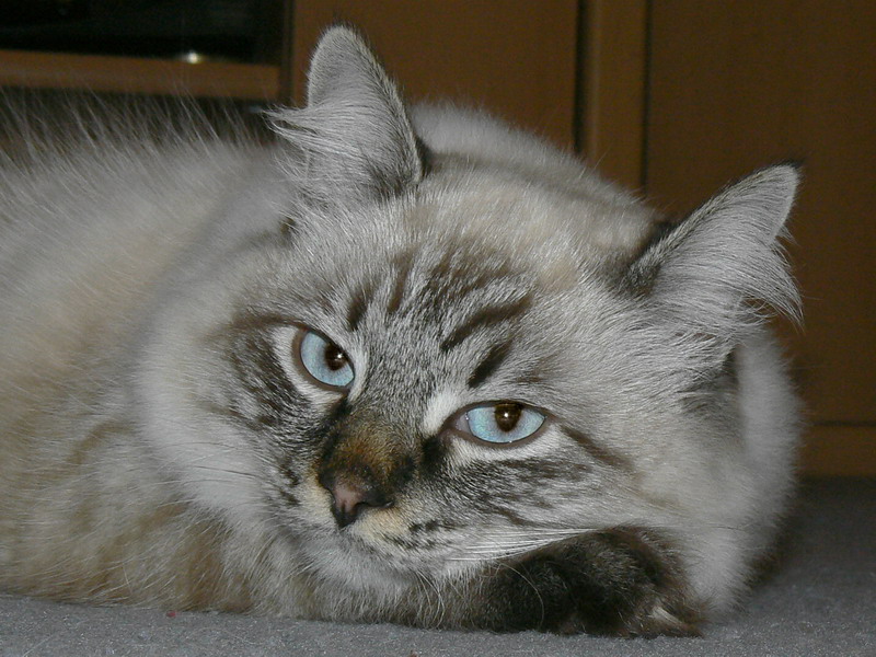 P1090123maly.jpg